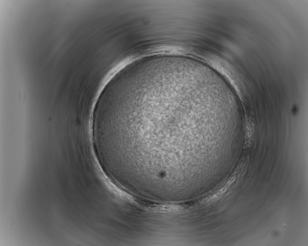 X0000098171090200805011008