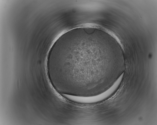 X0000098171091200805011008