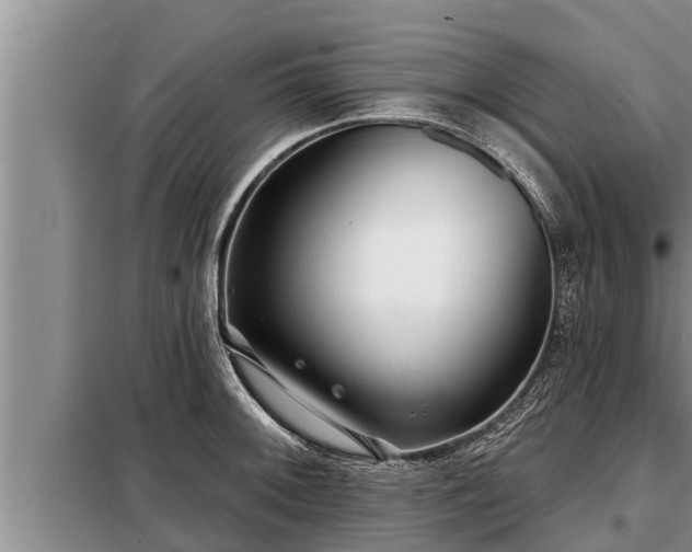 X0000098171092200805011008