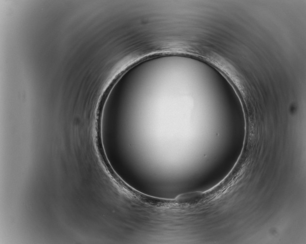 X0000098171093200805011008