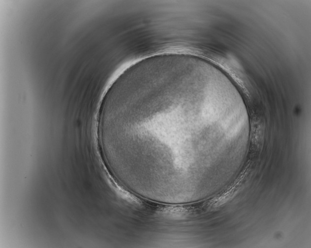 X0000098171094200805011008