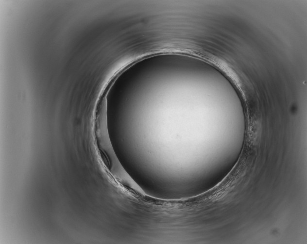 X0000098171096200805011008