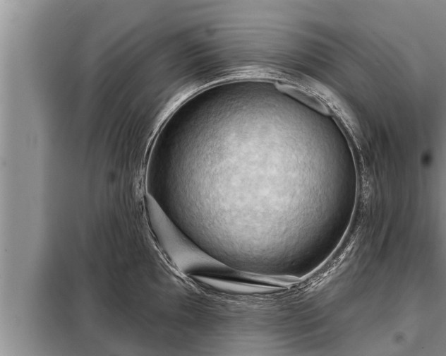 X0000098171097200805011008