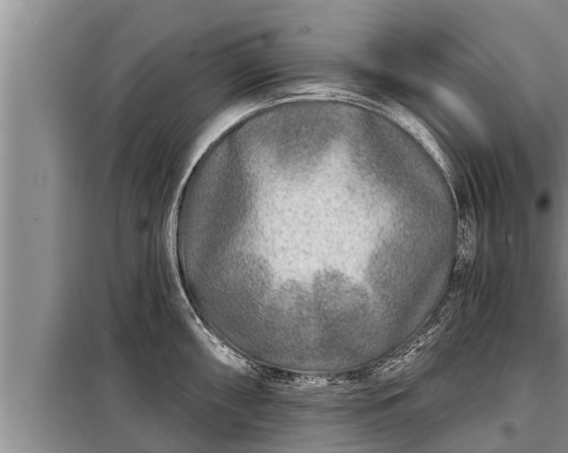 X0000098171098200805011008