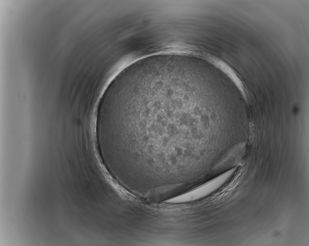 X0000098171099200805011008