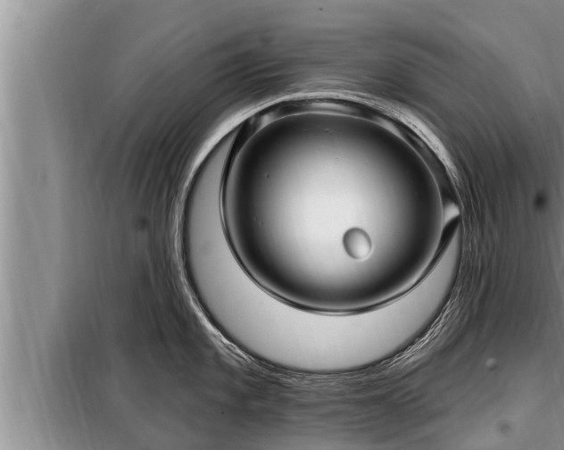 X0000098171101200805011008