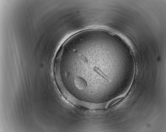 X0000098171102200805011008