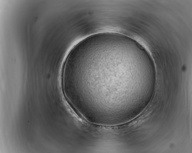 X0000098171104200805011008