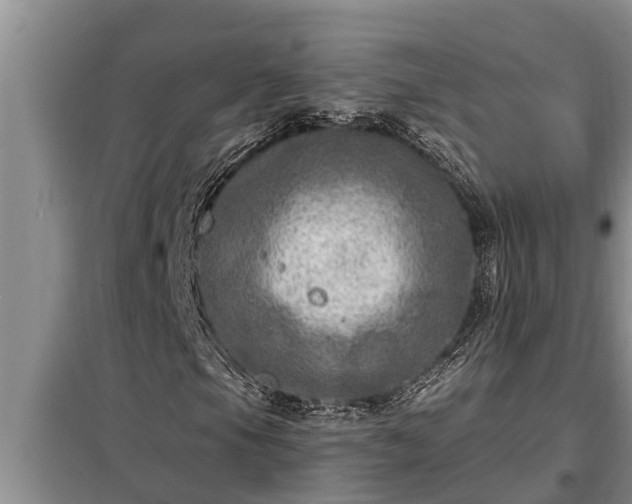 X0000098171105200805011007