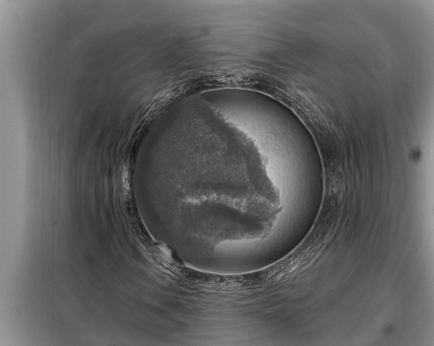 X0000098171106200805011007