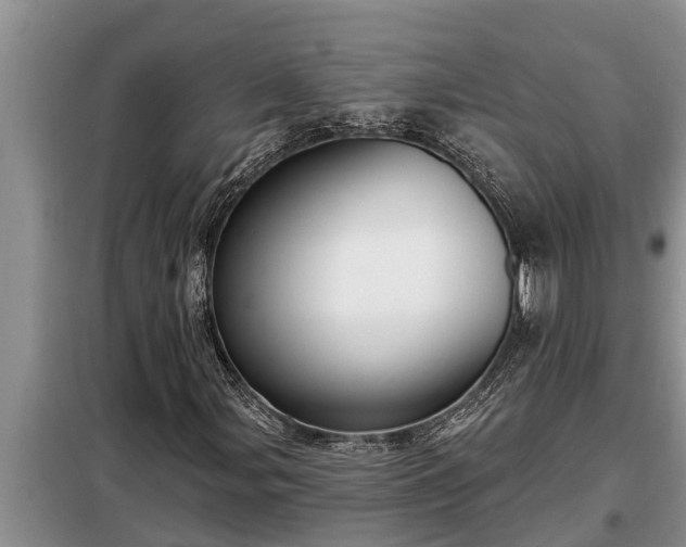 X0000098171107200805011007