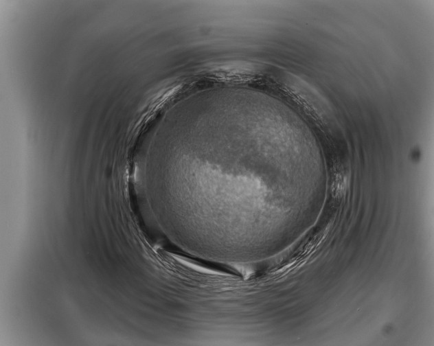 X0000098171108200805011007