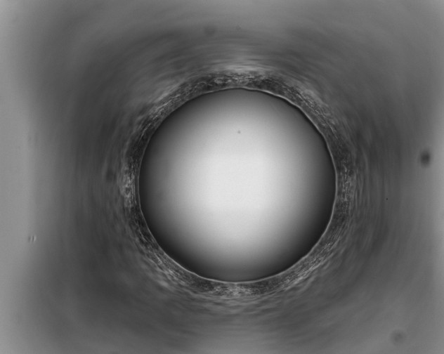 X0000098171109200805011007