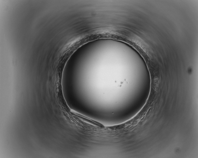 X0000098171111200805011007