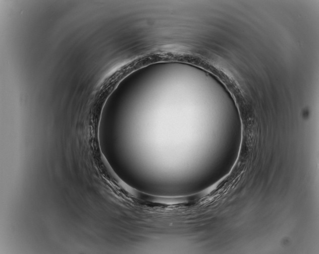 X0000098171112200805011007