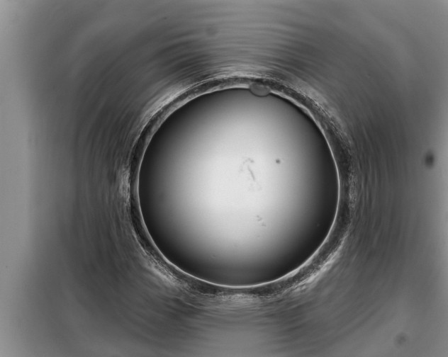 X0000098171113200805011007