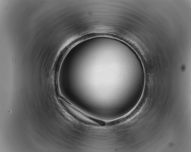 X0000098171114200805011007