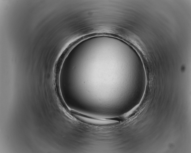 X0000098171116200805011007