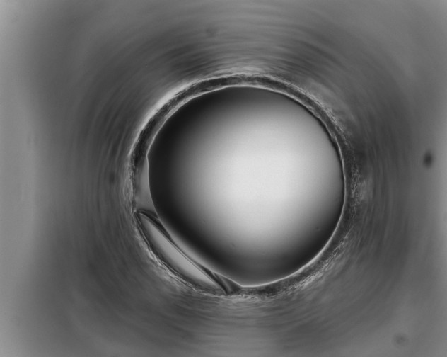 X0000098171118200805011007