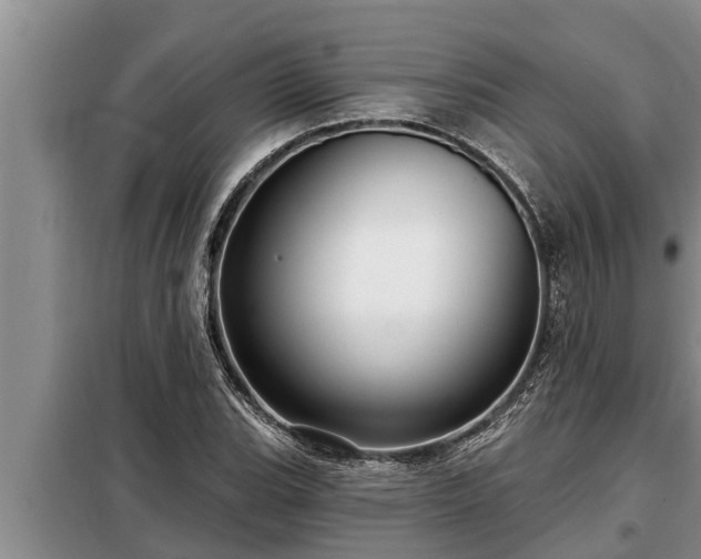 X0000098171119200805011007