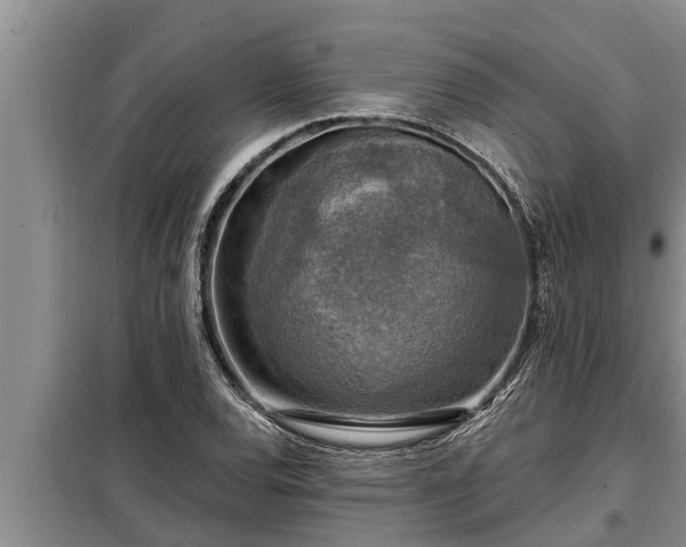 X0000098171120200805011007