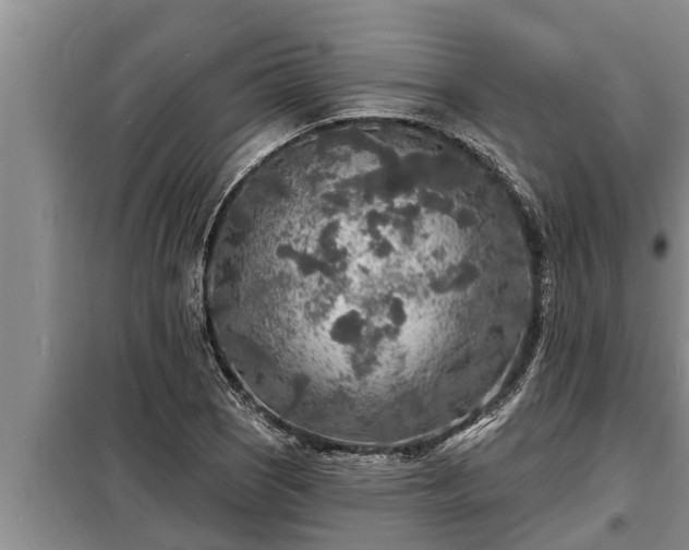 X0000098171121200805011007