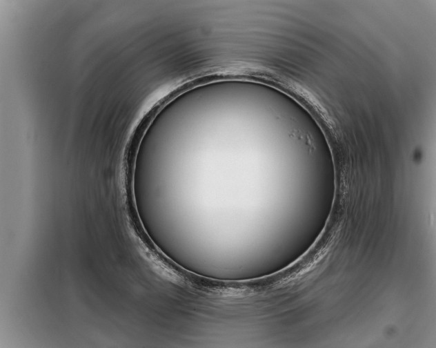 X0000098171122200805011007