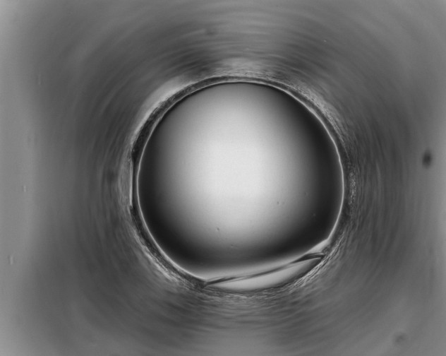 X0000098171123200805011007