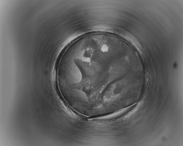 X0000098171125200805011007