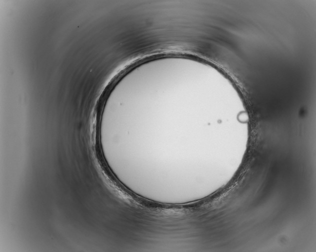 X0000098171126200805011007