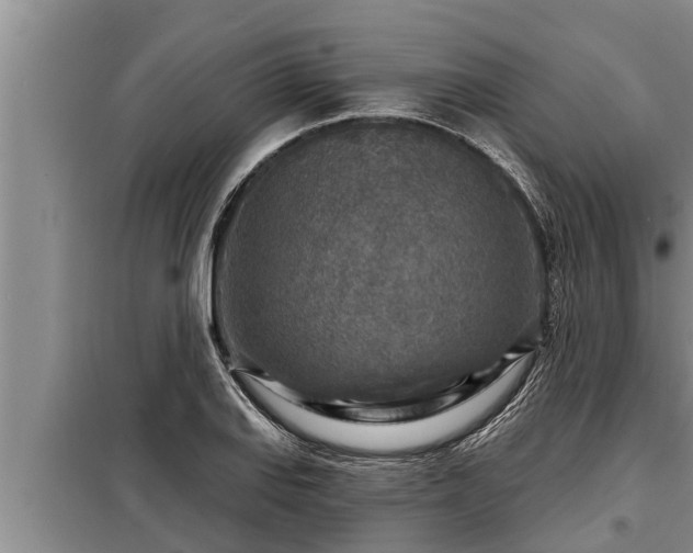 X0000098171127200805011007