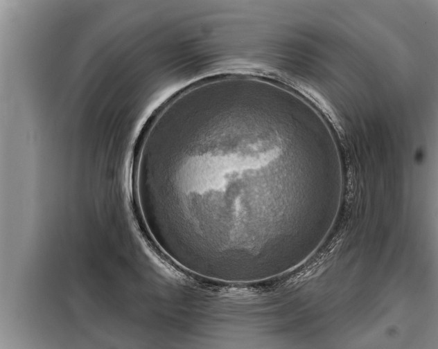 X0000098171128200805011007