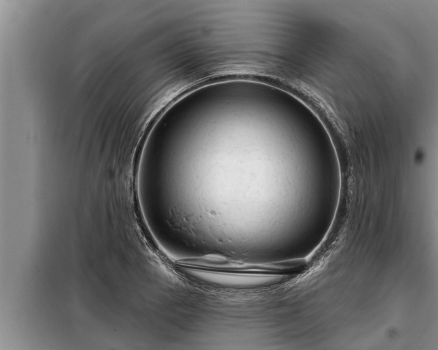 X0000098171129200805011007