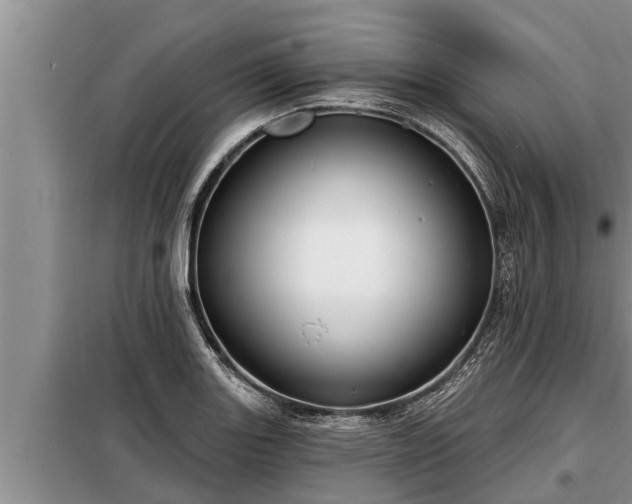 X0000098171131200805011007