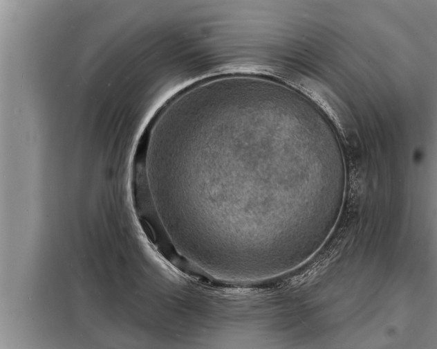 X0000098171132200805011007