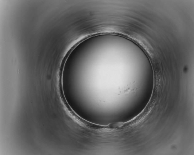 X0000098171134200805011008