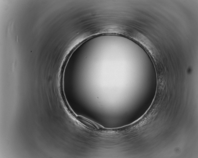 X0000098171135200805011008