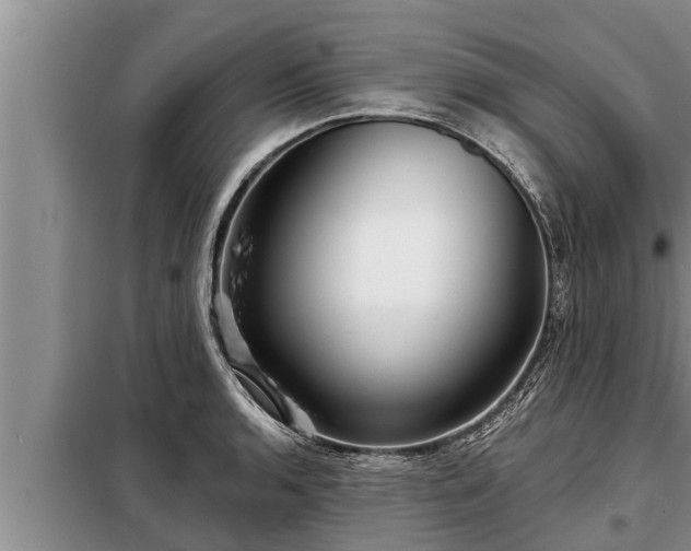 X0000098171136200805011008