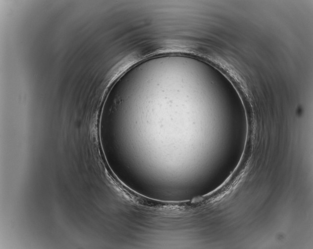 X0000098171137200805011008