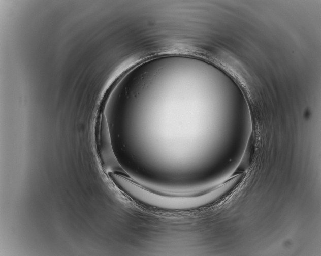 X0000098171138200805011008