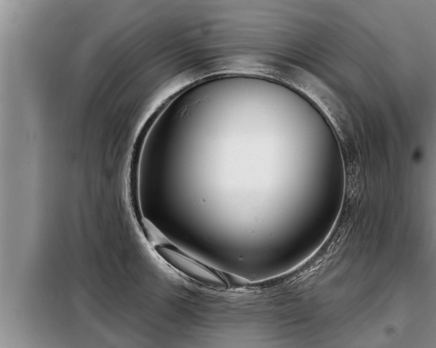 X0000098171139200805011008