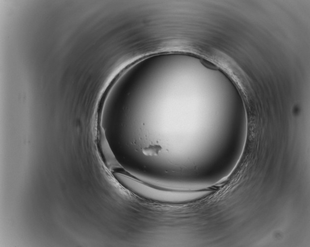 X0000098171140200805011008