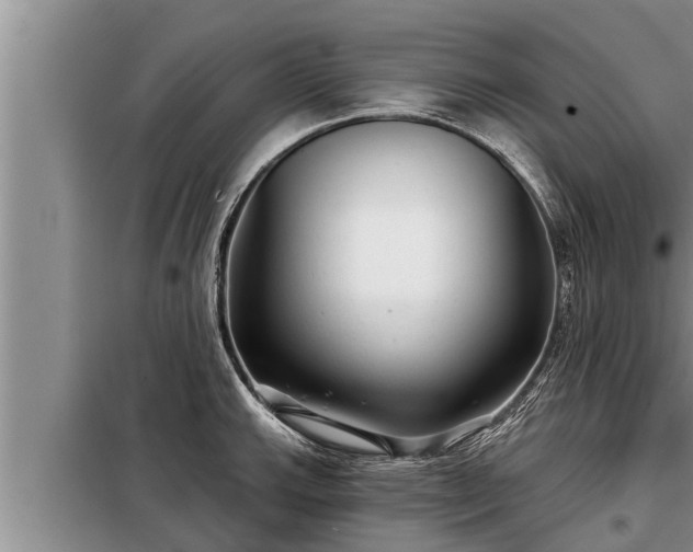 X0000098171143200805011008