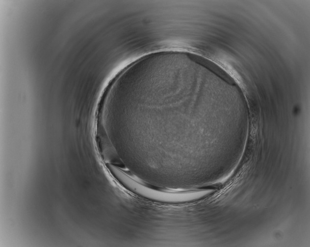 X0000098171144200805011008