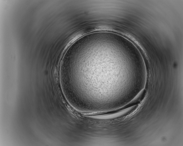 X0000098171145200805011008