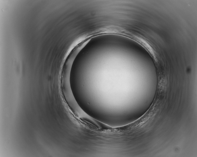 X0000098171146200805011008