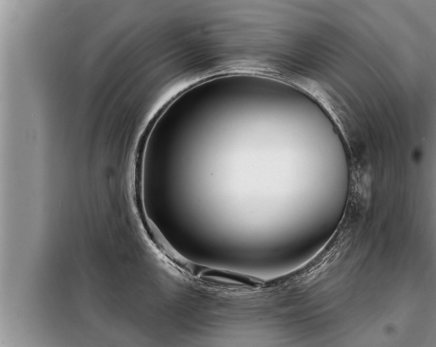 X0000098171147200805011008