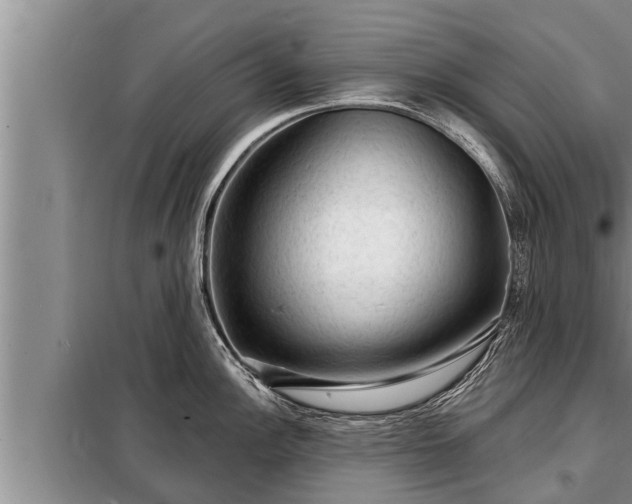 X0000098171148200805011008