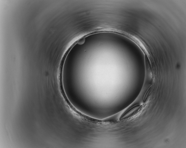 X0000098171149200805011008