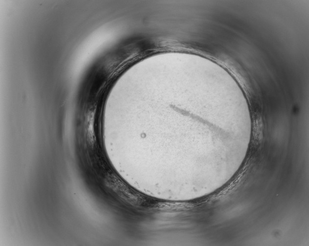 X0000098171150200805011008